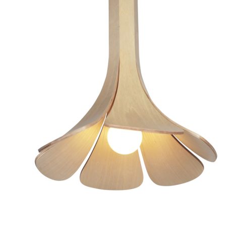 Hermon Hermon Lighting bloom pendant light feature